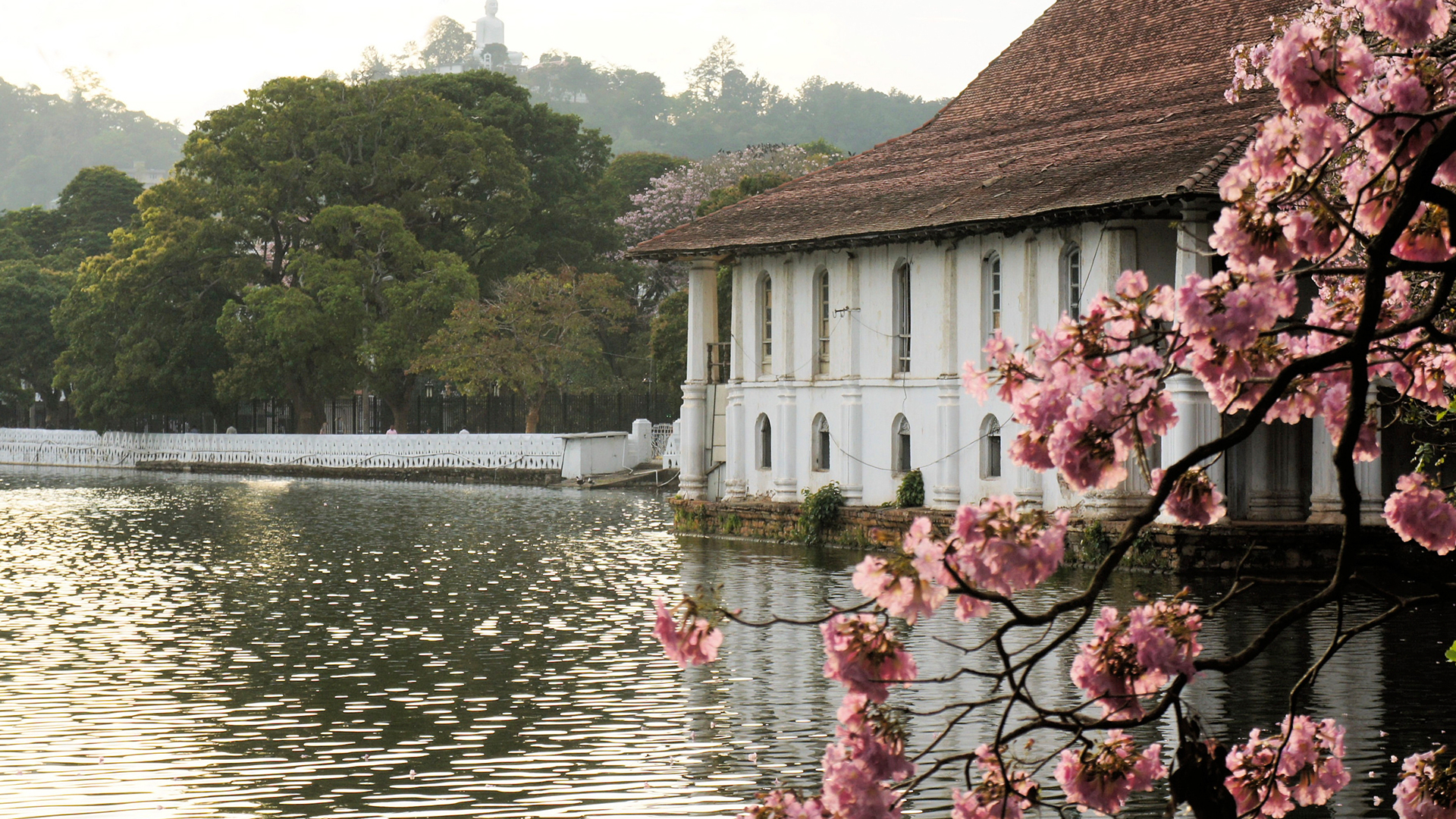 Ayu Lanka Tours Gallery